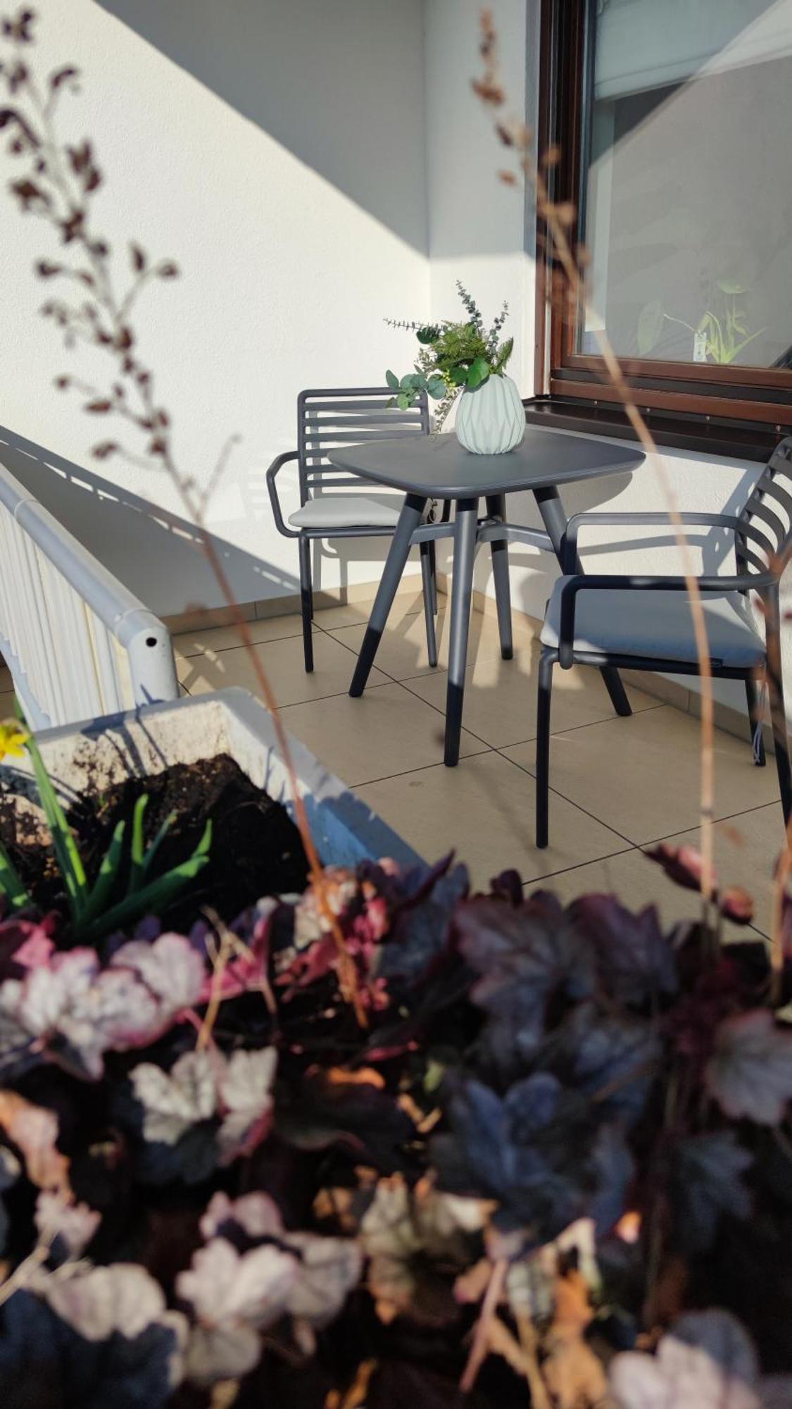 Rooftop In Kehl Bei Strasbourg Экстерьер фото
